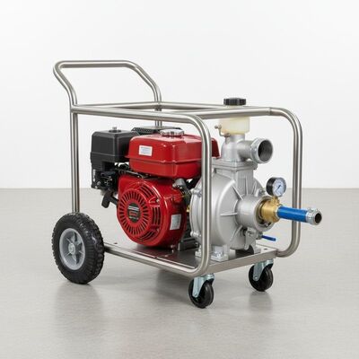 LT95/15 High Pressure Forest Fire Pump with Stainless Steel Frame and 95 L/min Flow Rate in Mobile Type